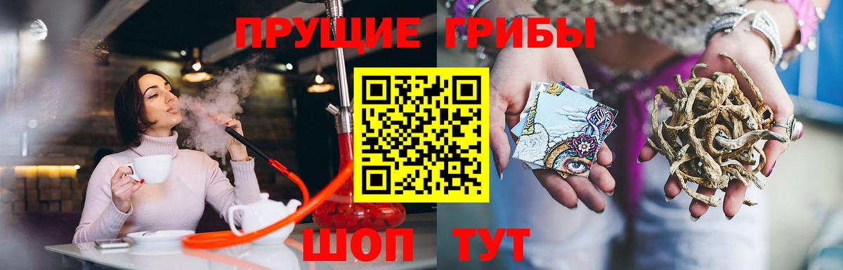 Псилоцибиновые грибы прущие грибы Волжский